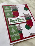 Grey Cat Santa Paws Christmas Card