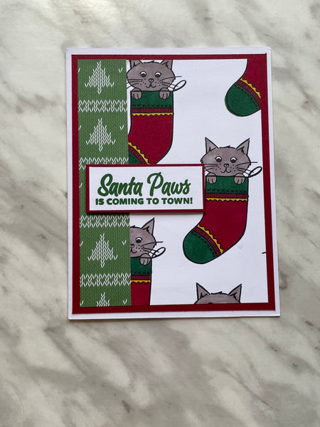 Grey Cat Santa Paws Christmas Card