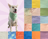 1/2 Solid Colour Pet Bandanas