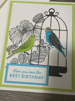 Parakeet Birthday Card