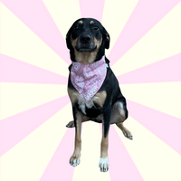 Add on personalization for dog bandanas