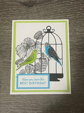 Parakeet Birthday Card