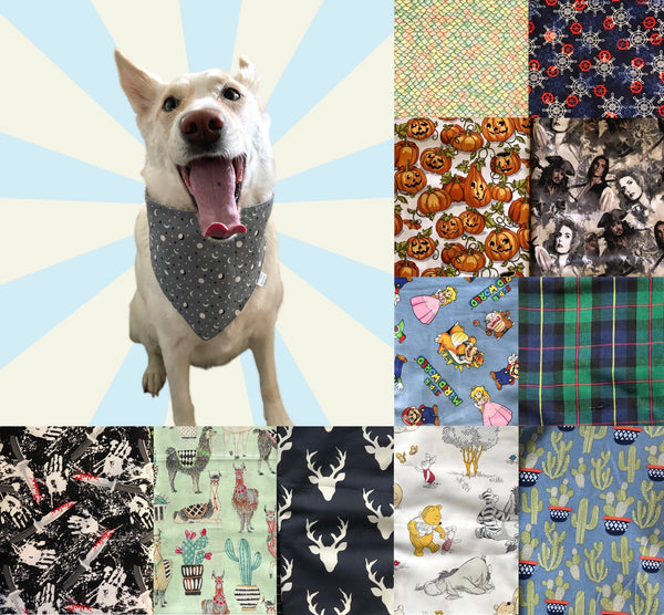 3/3 Patterned Pet Bandana